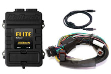 Load image into Gallery viewer, Haltech Elite 2500