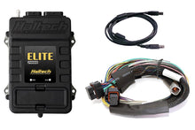 Load image into Gallery viewer, Haltech Elite 750