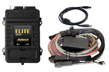 Load image into Gallery viewer, Haltech Elite 750